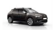 C4 Cactus